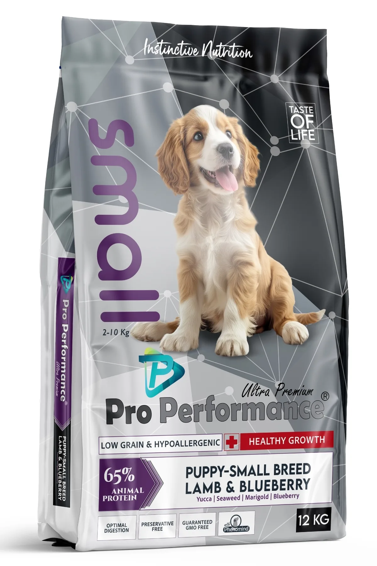 Pro Performance Mini Dog Lamb Blueberry Yavru Köpek Maması 2 Kg