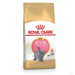Royal Canin Feline Kitten British Shorthair Yavru Kedi Maması 2 Kg