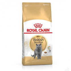 Royal Canin  British Shorthair Kedi Maması 10 Kg