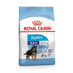 Royal Canin Maxi Junior Büyük İrk Yavru Köpek Maması 15 Kg