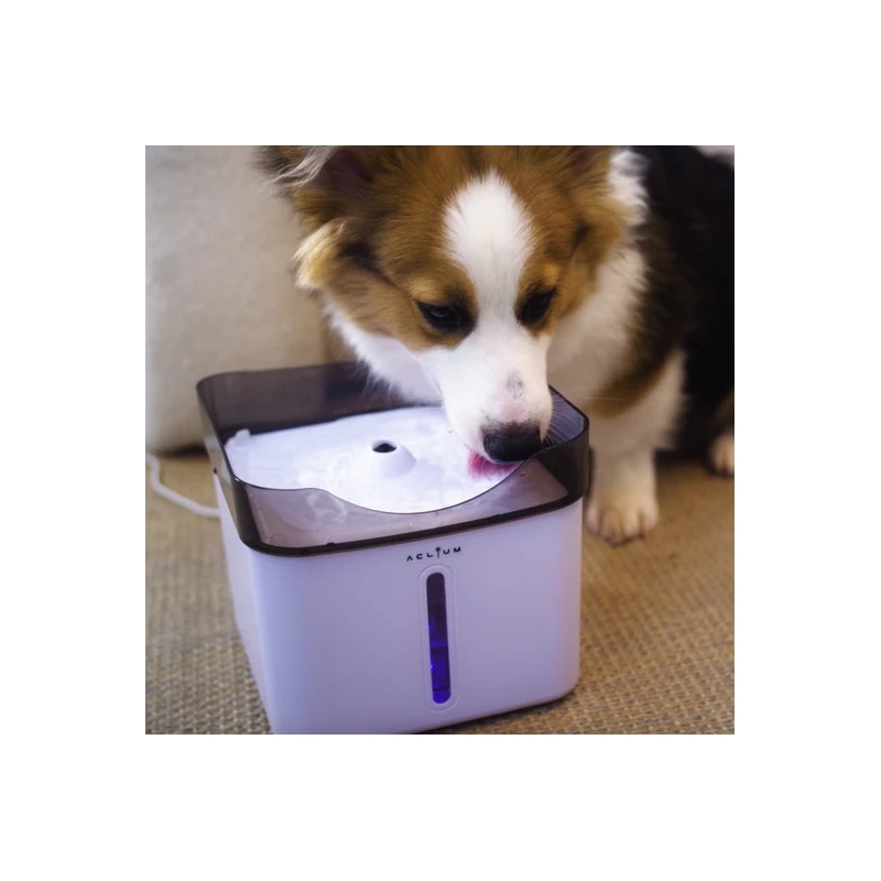 Aclıum Kedi Köpek Su Sebili 187X187X164 mm