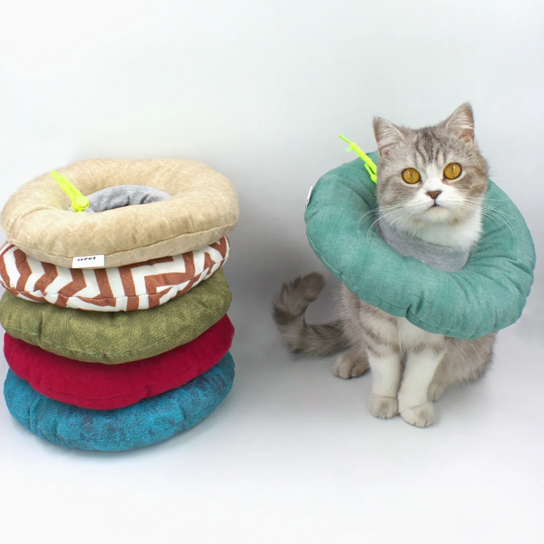 Lepus Kedi Köpek Yakalık Düz Renkli Mix Large