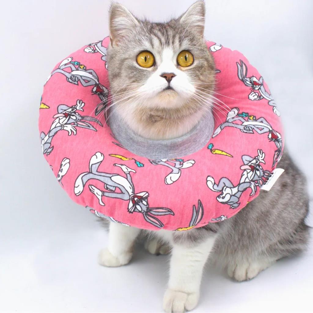 Lepus Kedi Köpek Yakalık Pembe Small No:6