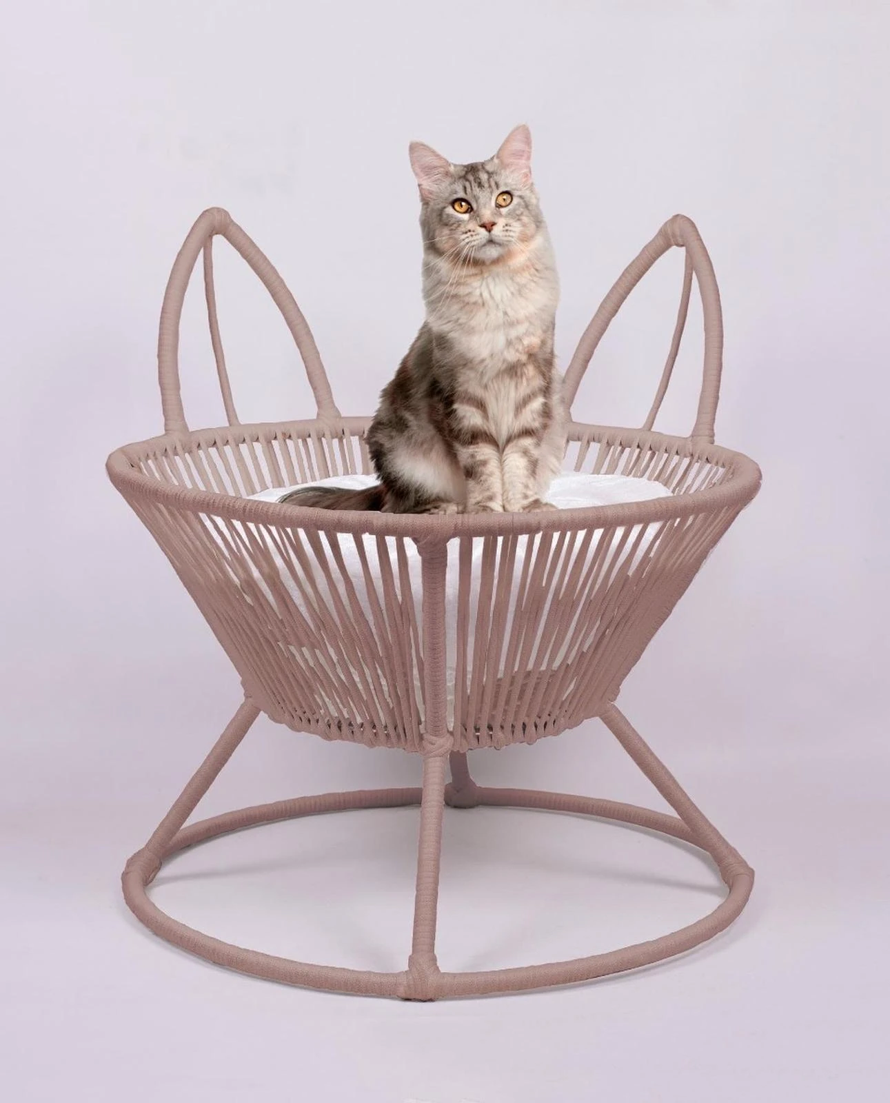 Lepus lüxperi Saksı Model Kedi Yatağı