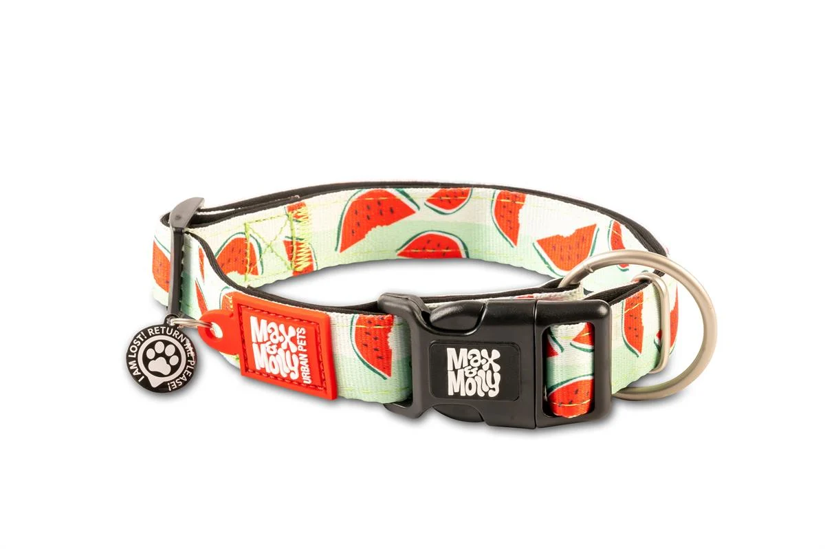 Max Molly Watermelon Smart ID Köpek Boyun Tasması Medium