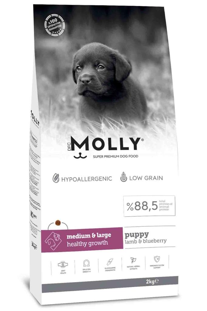 Molly Kuzulu Yaban Mersinli Orta ve Büyük Irk Yavru Köpek Maması 2 Kg