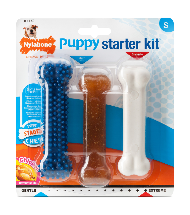 Nylabone Tavuk Aromalı Yavru Köpek Başlangıç Kiti Small