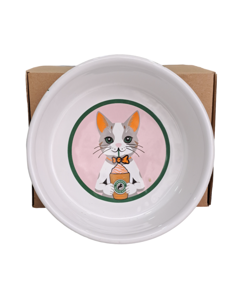 Pet Pretty Kedi Seramik Kahve İçen Mama Su Kabı 400 ml