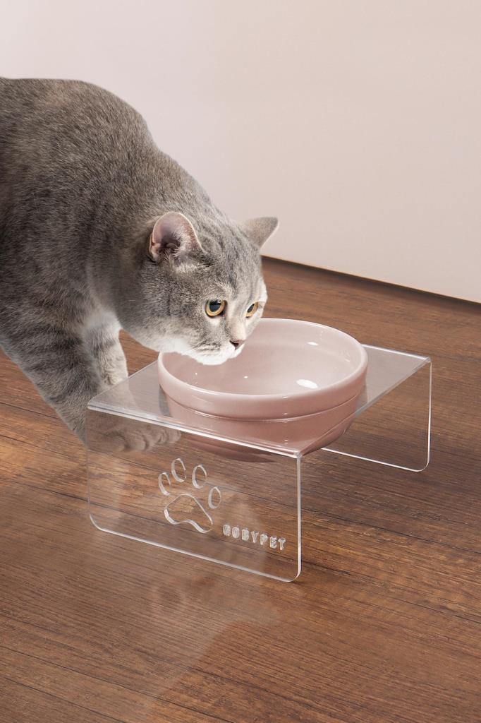 Petcanlar Seramik Dekoratif Kedi Ve Köpek Pleksi Mama Su Kabı