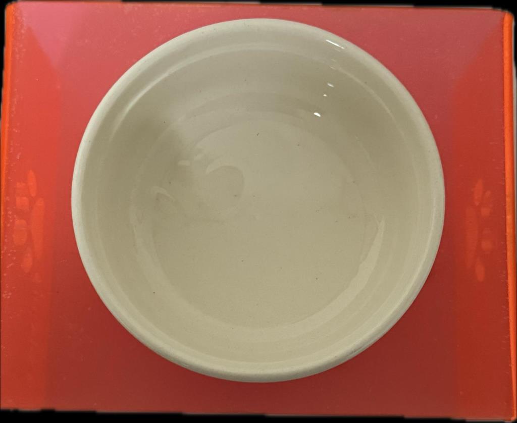 Petcanlar Tekli Seramik Dekoratif Kedi Ve Köpek Pleksi Mama Su Kabı Turuncu 16X8X12 Cm