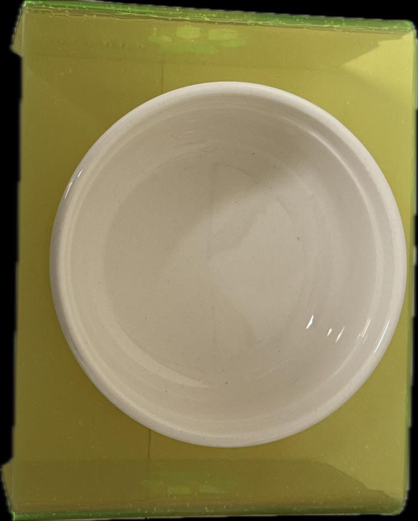 Petcanlar Tekli Seramik Dekoratif Kedi Ve Köpek Pleksi Mama Su Kabı Yeşil 16X8X12 Cm