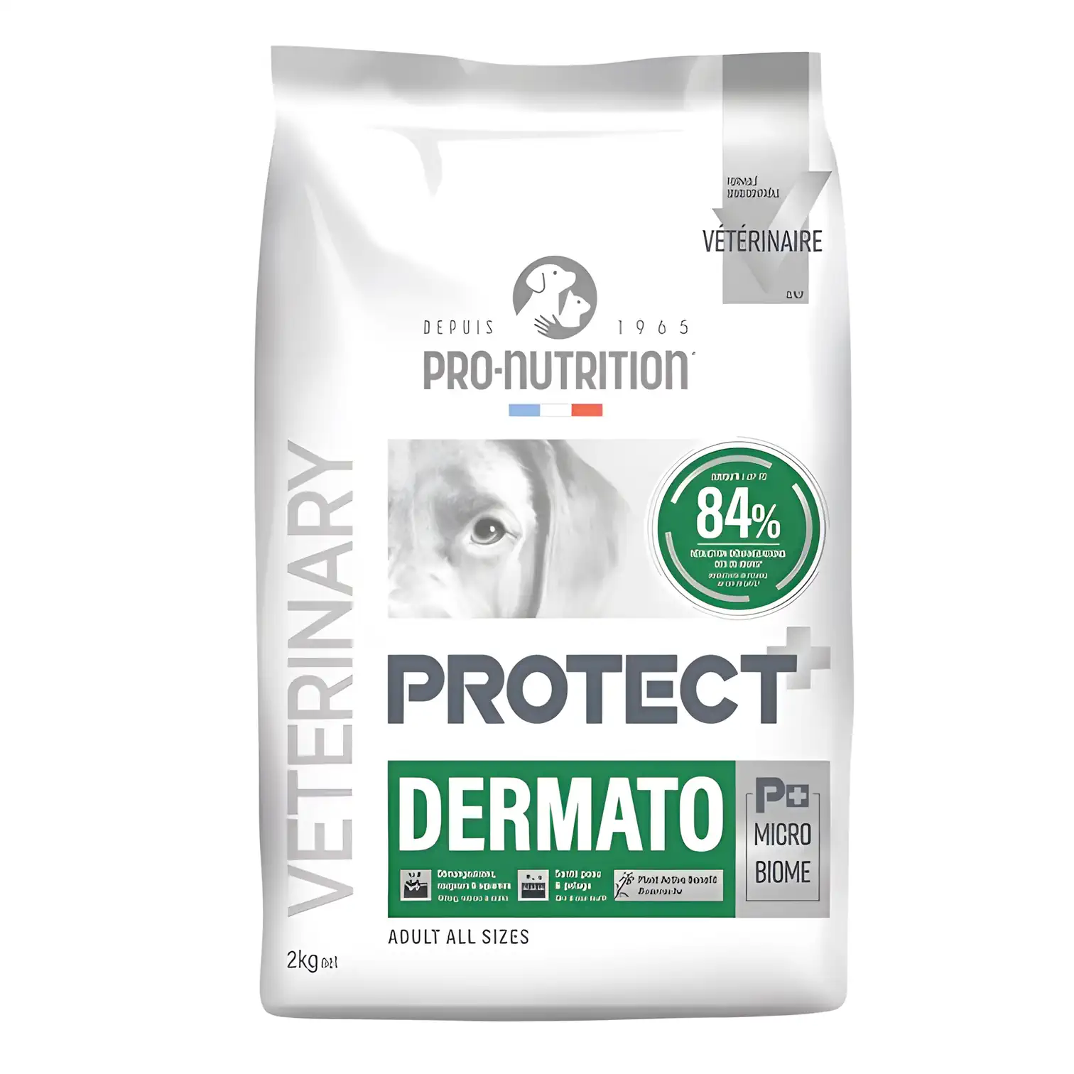 Pro Nutrition Protect Veterinary Dermato Hypo Allergenic Köpek Maması 2 Kg