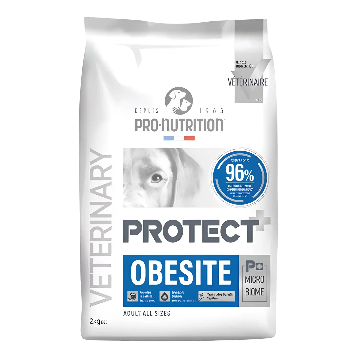 Pro Nutrition Protect Veterinary Obesite Kilo Kontrolü İçin Köpek Maması 12 Kg