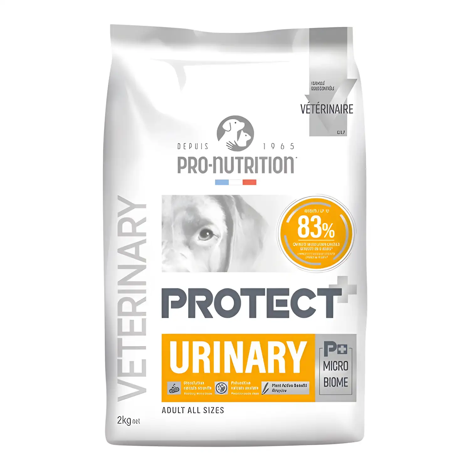 Pro Nutrition Protect Veterinary Urinary İdrar Yolu Sağlığı Destekleyici Köpek Maması 2 Kg