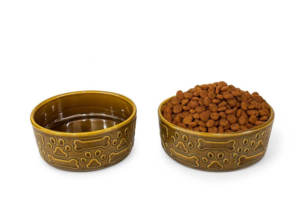 Stonware Kedi Köpek Mama Ve Su Kabı Kahve 