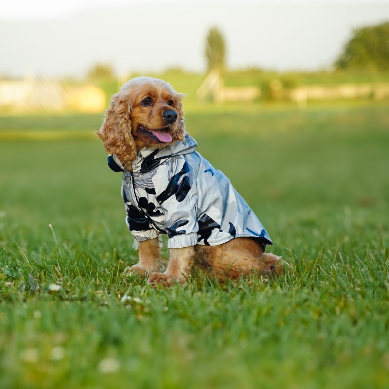 Kuccu Kuccu Kamuflaj Desen Reflektörlü Köpek Yağmurluğu 6XLarge