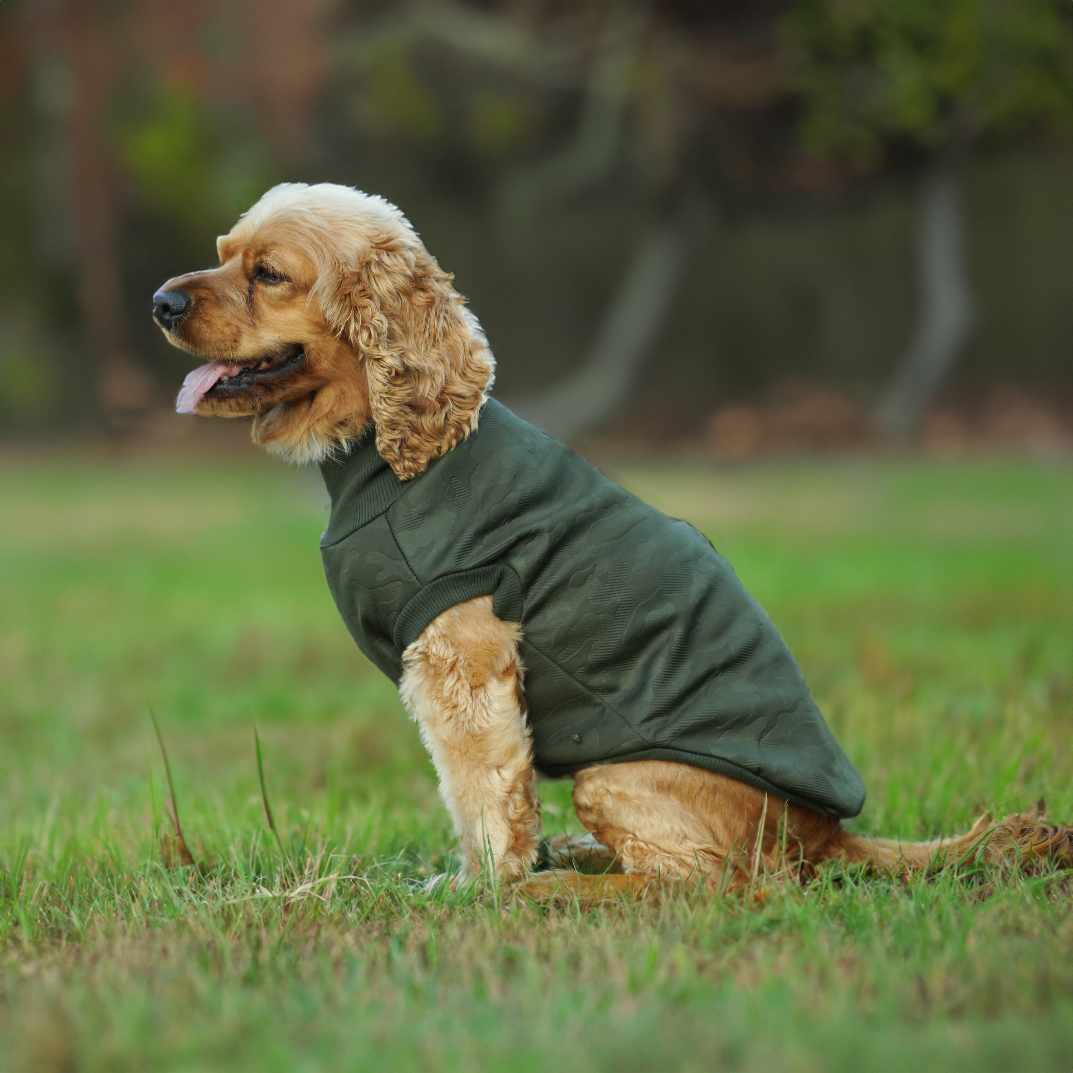 Kuccu Kuccu Soft Shell Köpek Kamuflaj Haki Large