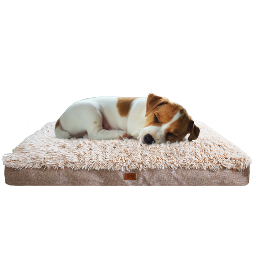 Lepus Pophidic CushionKedi Köpek Yatağı Small 65X50X10 Cm