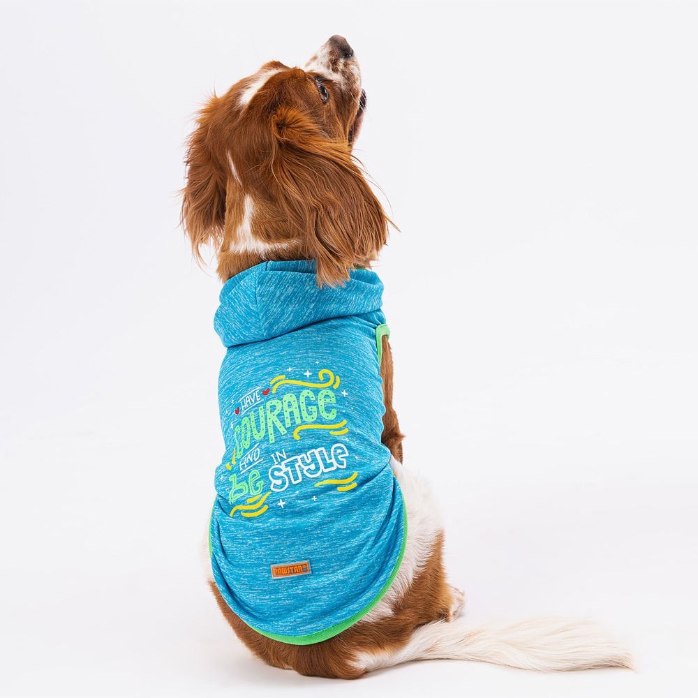 Pawstar Blue Style Hooded Köpek T-Shirt Small