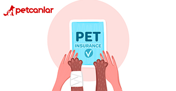 evcil hayvan sigortası