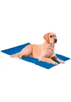 Karlıe Serinletici Köpek Matı Large Mavi 50X90 Cm